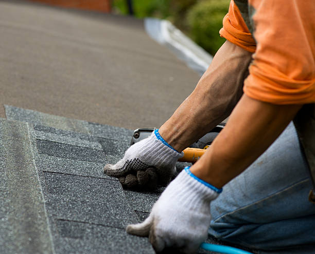 Best Emergency Roof Repair  in Bridgeville, PA